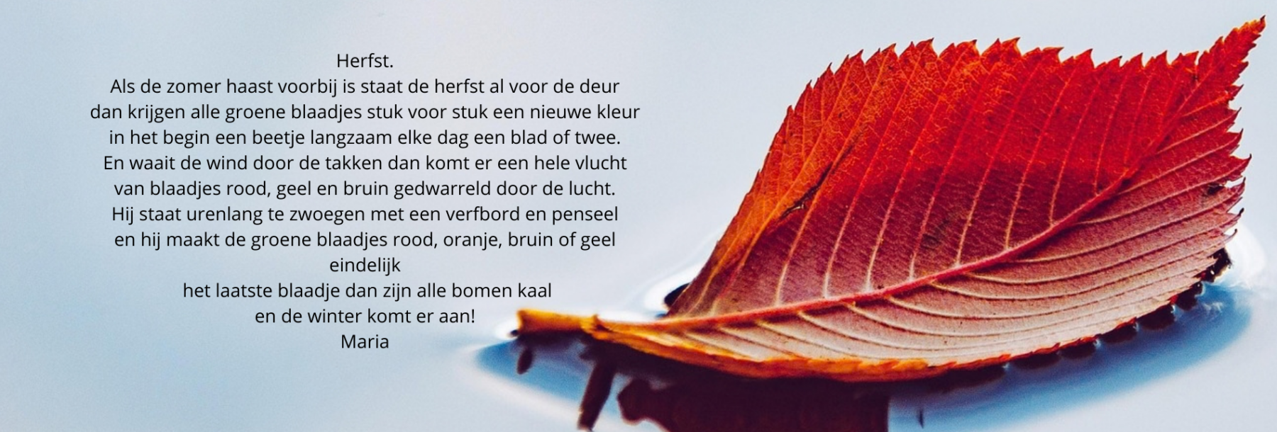 Jouw Alineatekst (1)