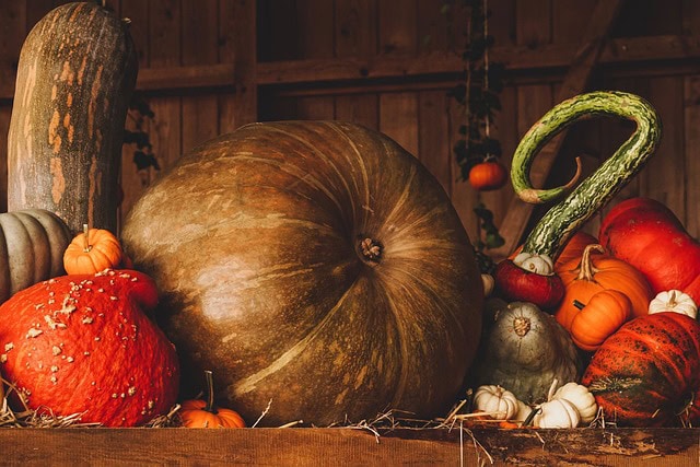 Pumpkin 3698130 640