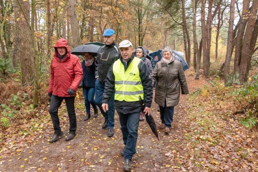Sessie 12 Korte Wandeling Door De Sahara