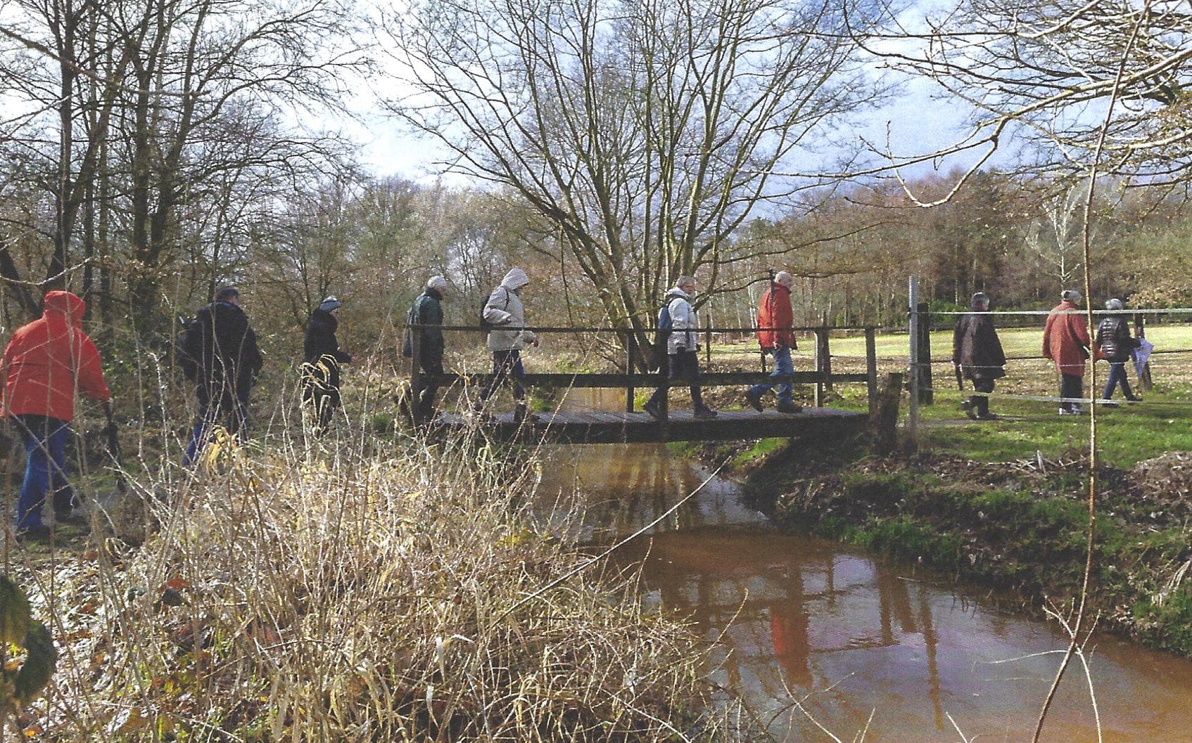 Herfstwandeling