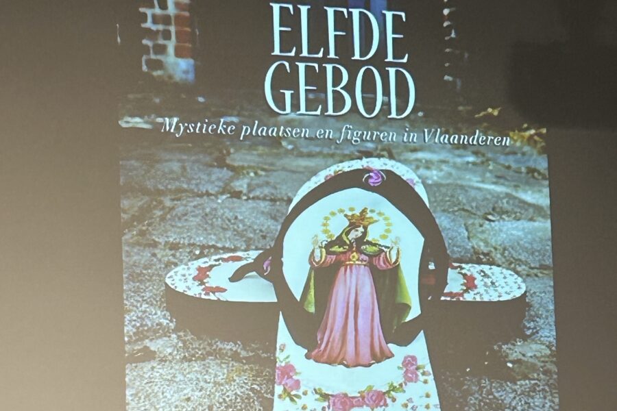 Nicky Lanley Het Elfde Gebod (10)