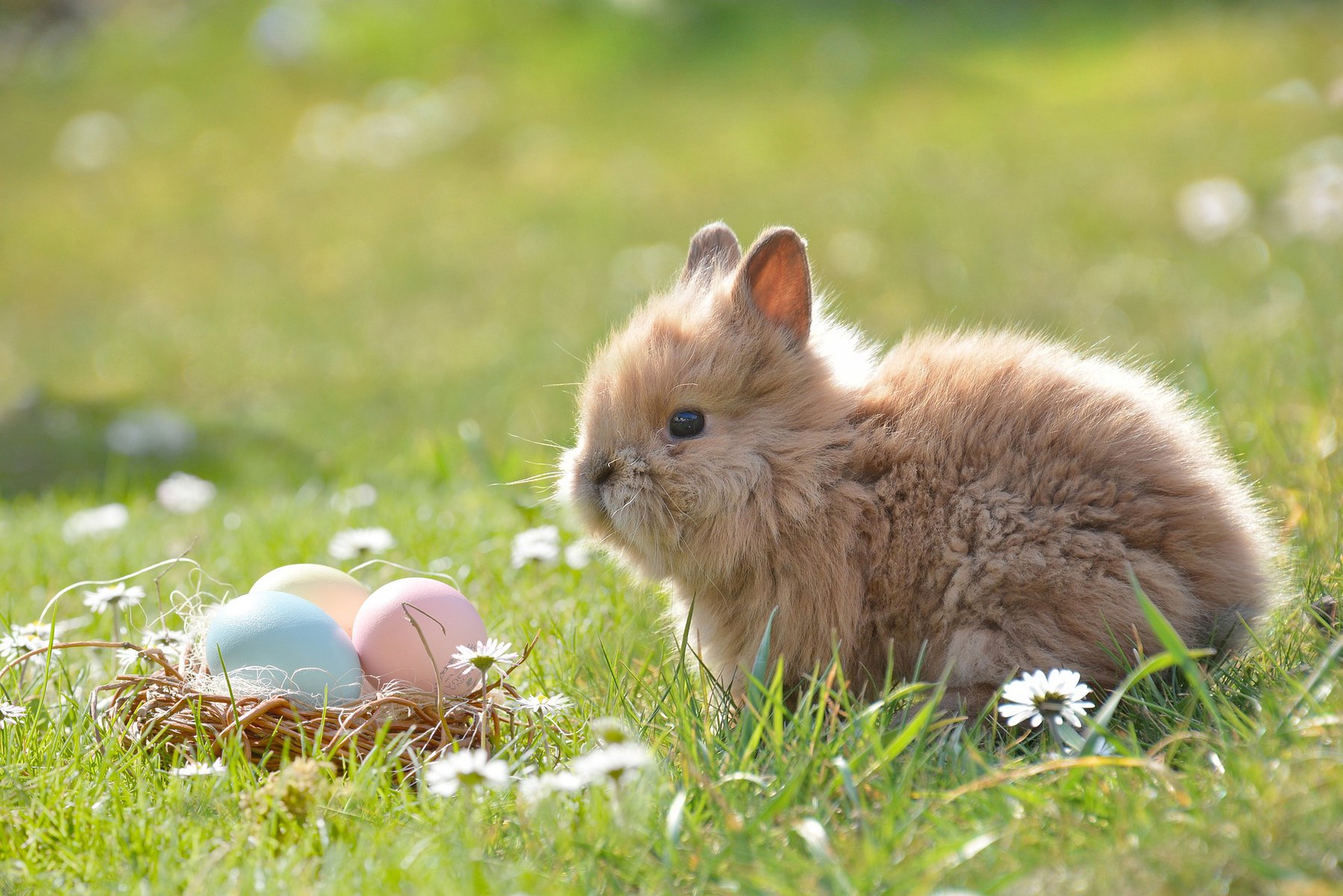 Easter G92101b272 1920