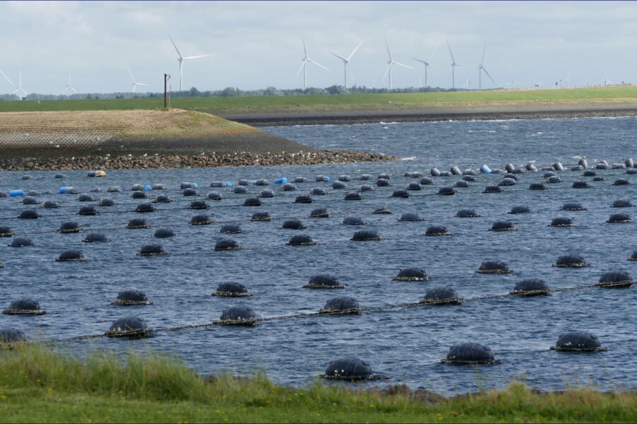 2024 Okra Zierikzee Mosselen (102)