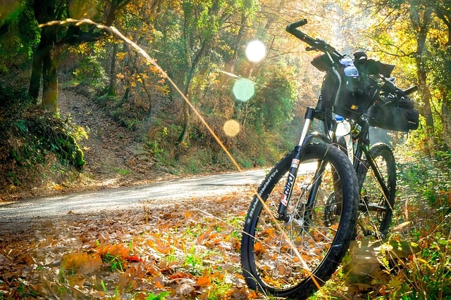 Cycling 2846201 640