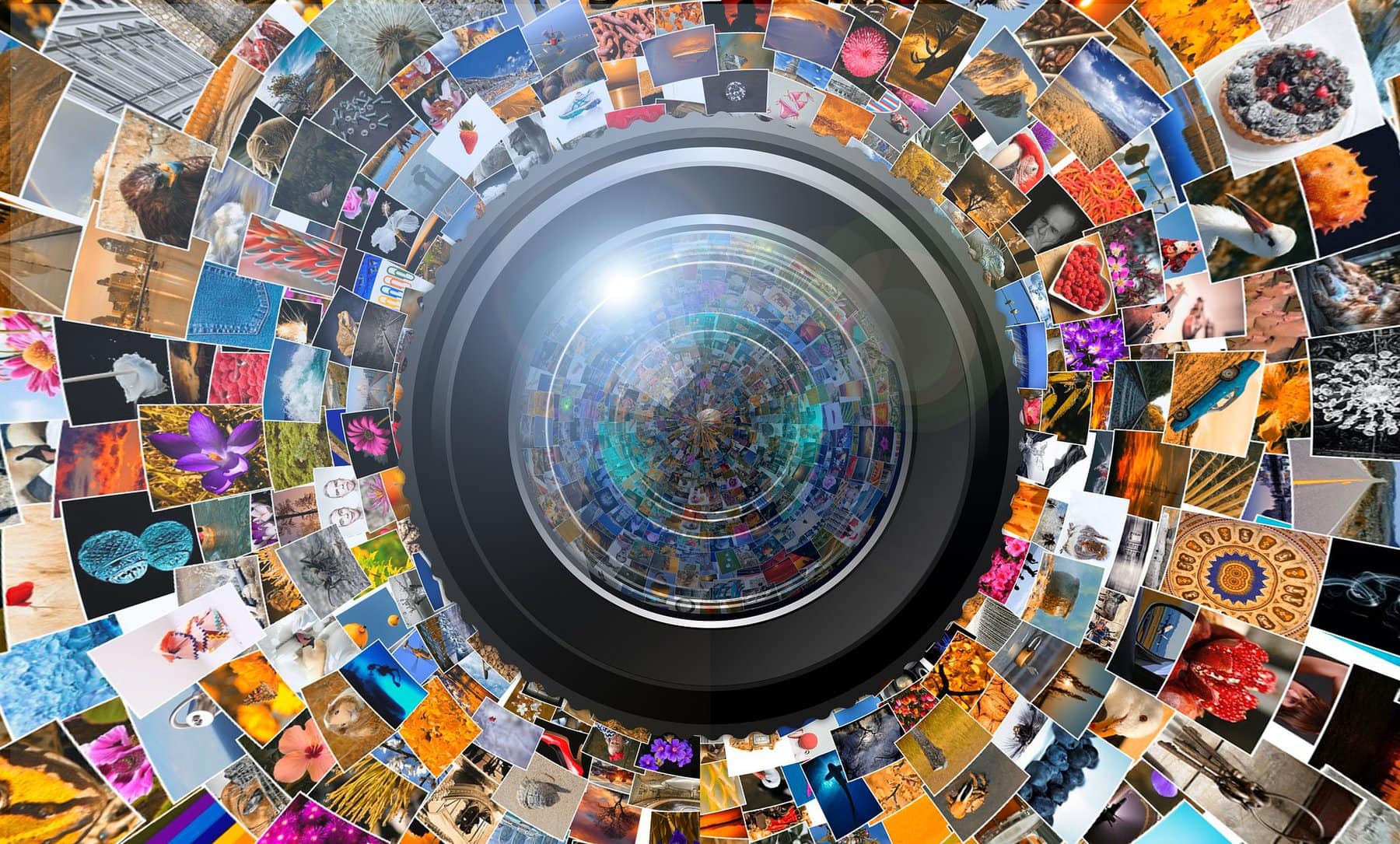 Lens 3791697 1920