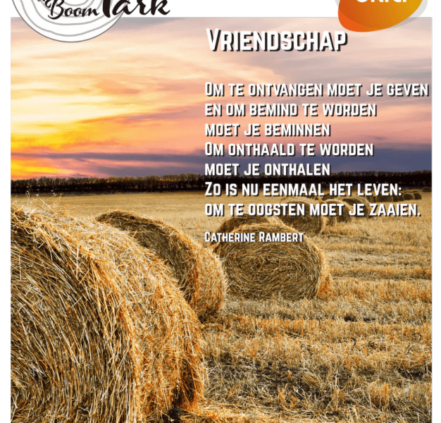 202609 Voorpagina Nieuwsbrief
