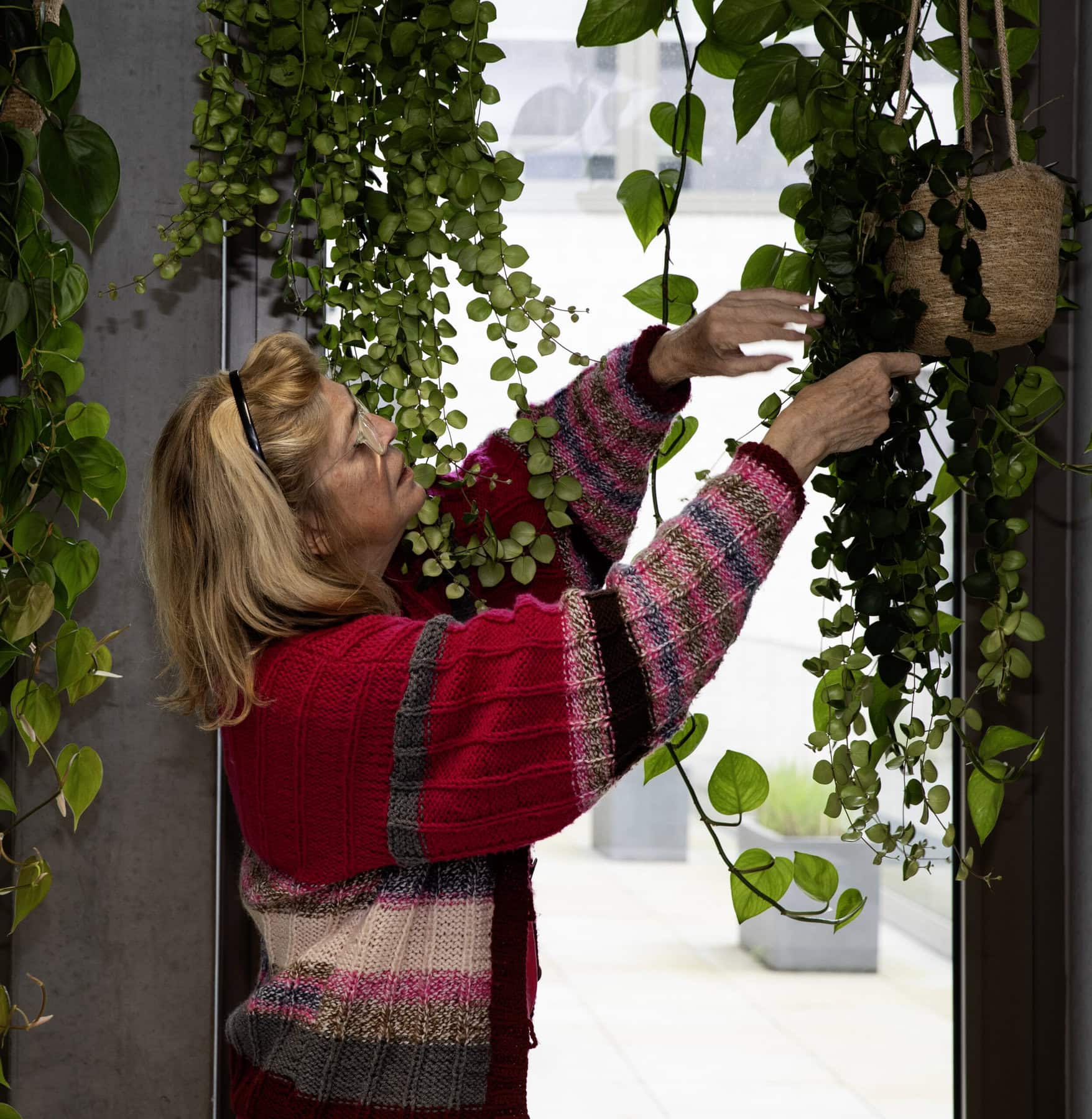 planten,natuur,plant,senior,dame,OKRA-lid,workshop,vrouw