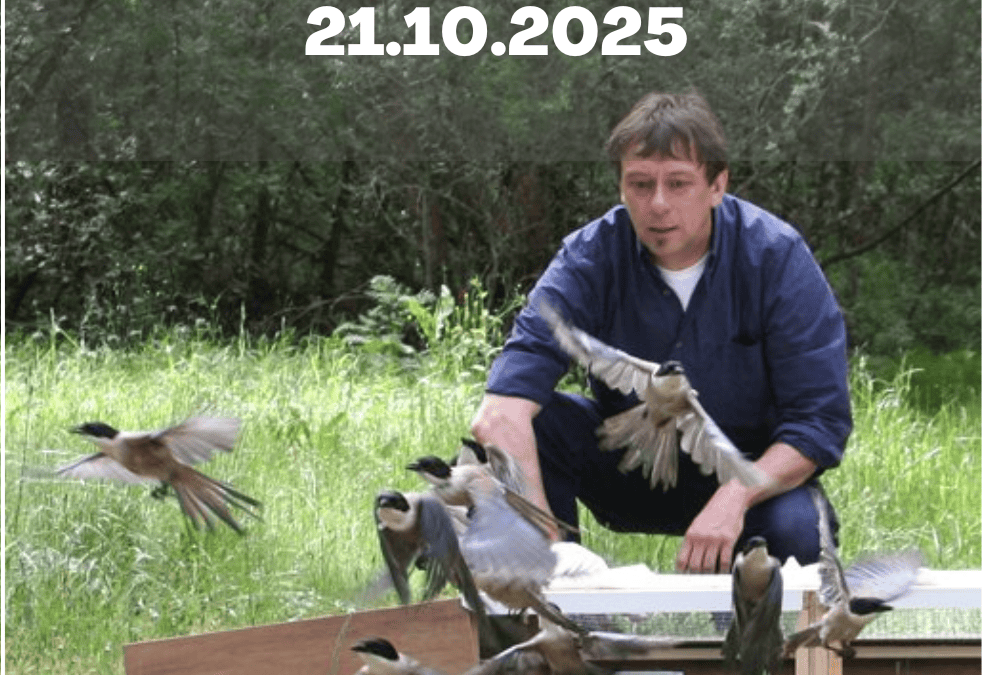 Natuurhulpcentrum
