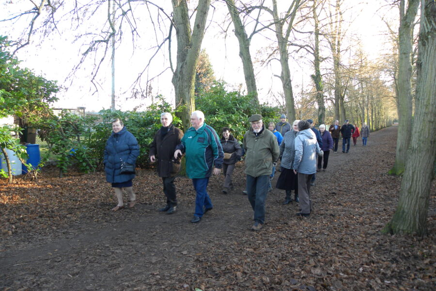 Wandelen