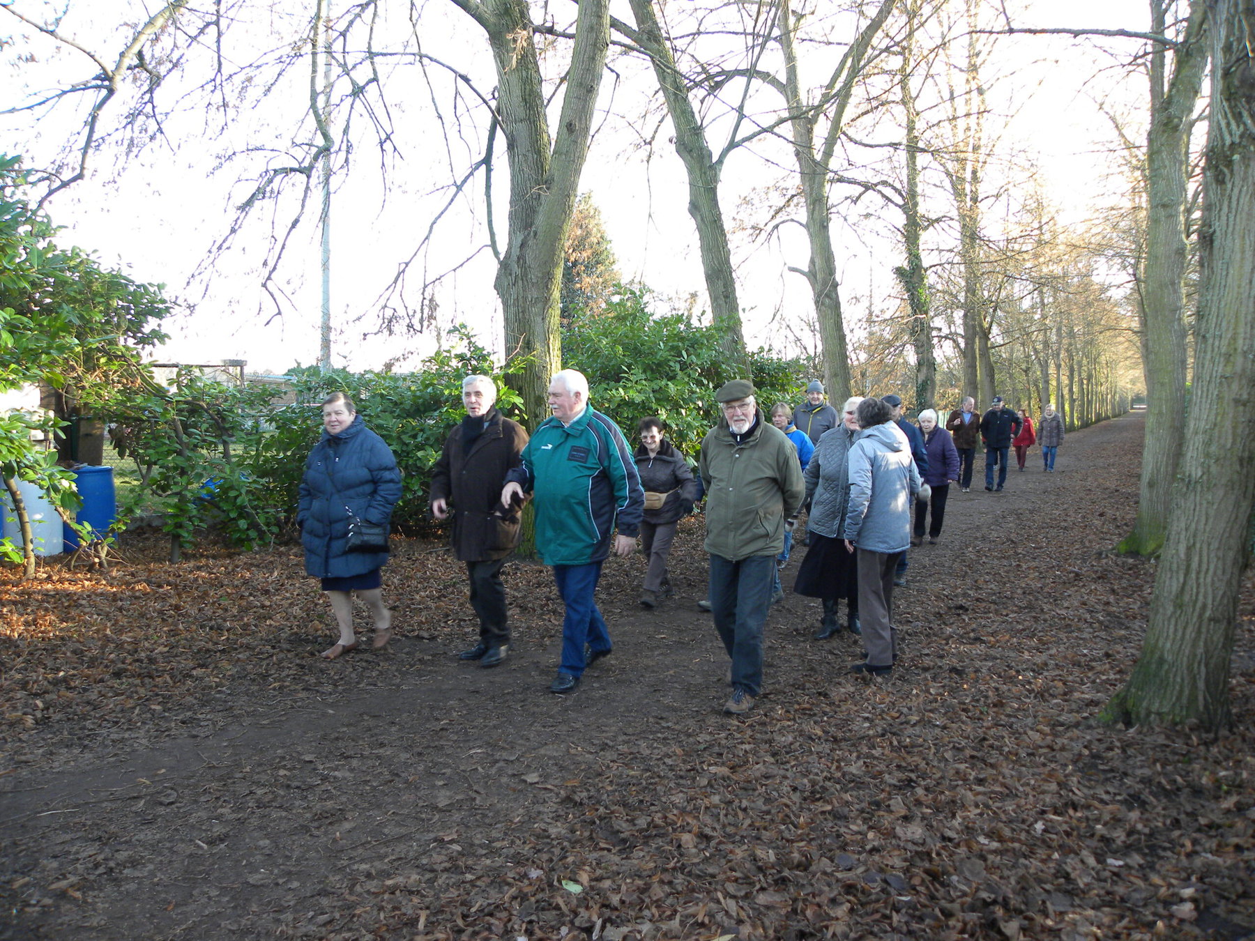 Wandelen