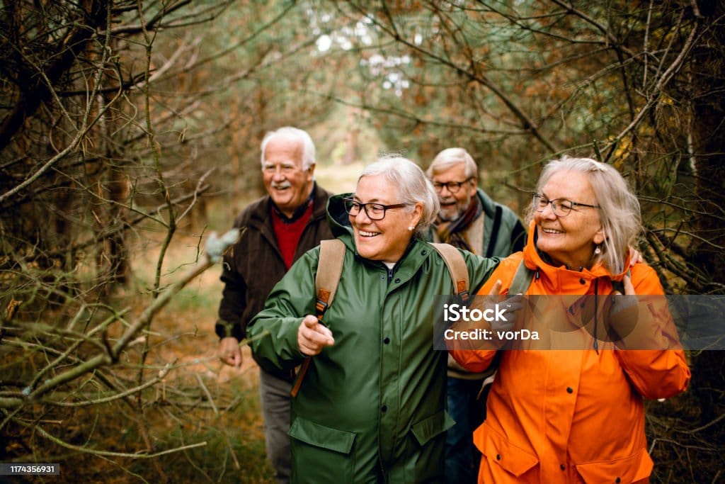 Close Up Of A Group Of Seniors Hiking Through The Forest