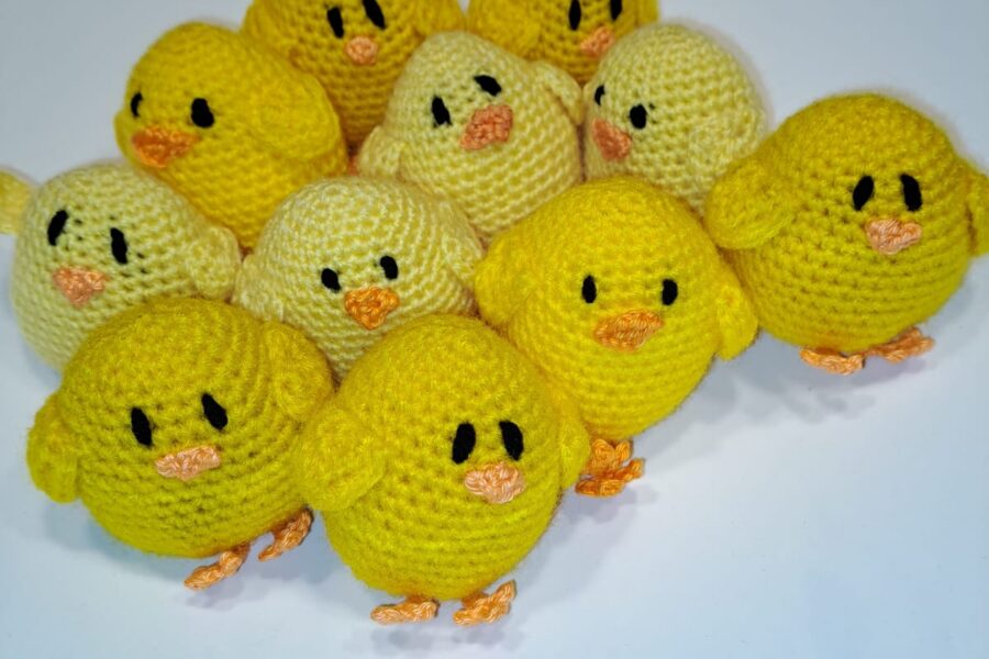 Kuikens