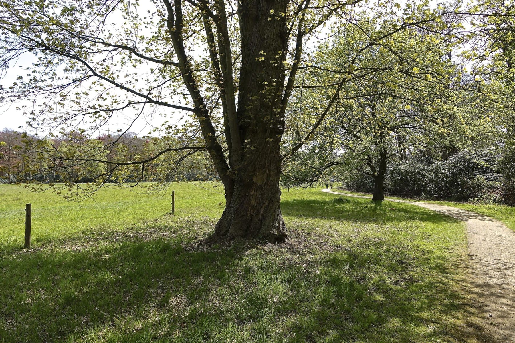 Wandelen1