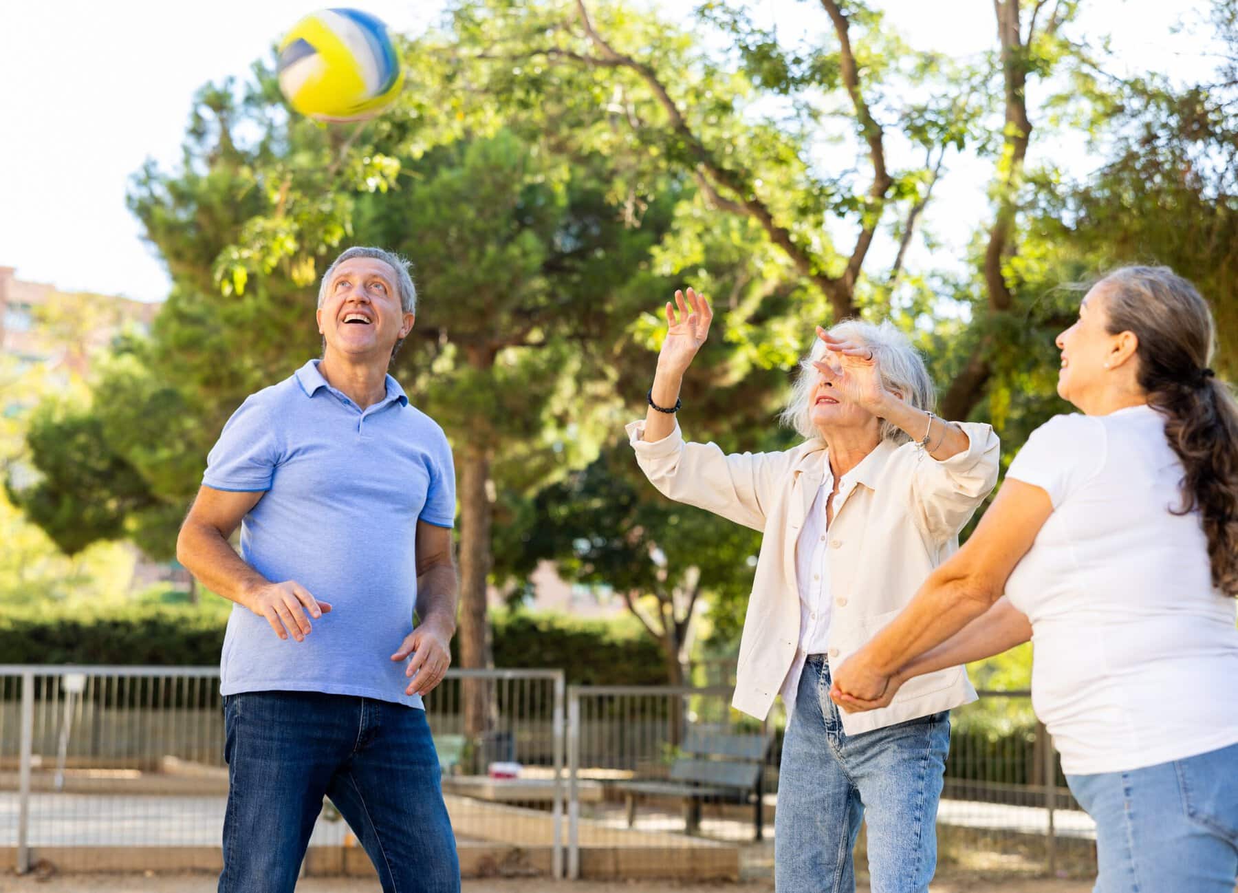 volleybal,volley,bal,senioren,sport,buiten,spel