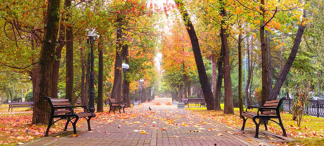 Park