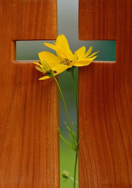 Cross 1517093 640