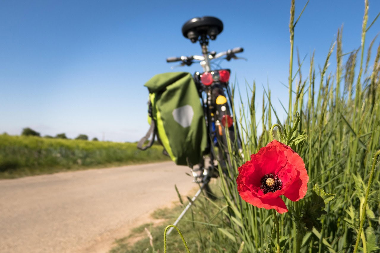 Fiets Canva