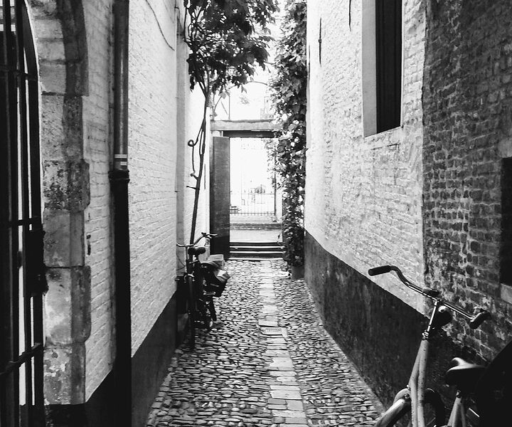 Antwerpen22.10.25