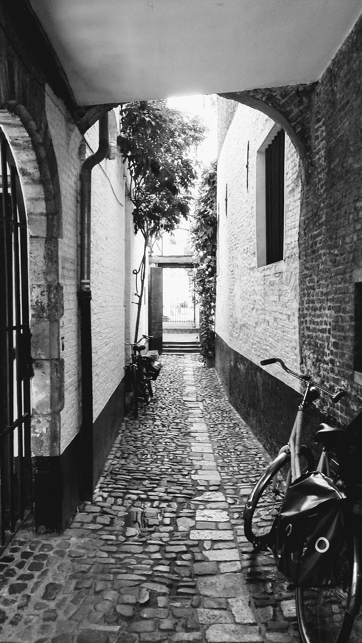 Antwerpen22.10.25