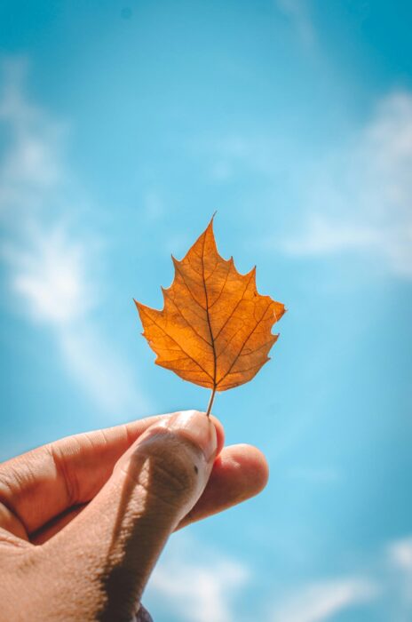 Herfst 2