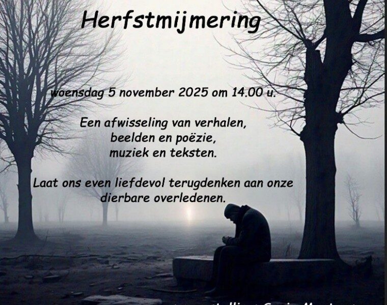 Herfstmijmering November 2025