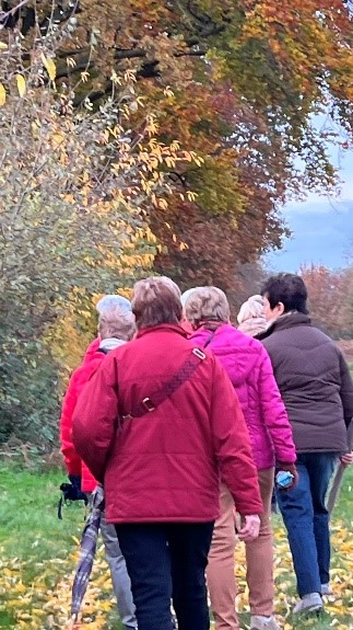 Herfstwandeling