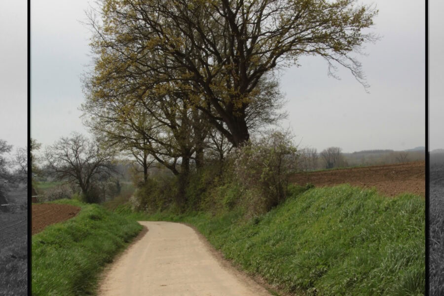 Rouwkaartje Veldzicht