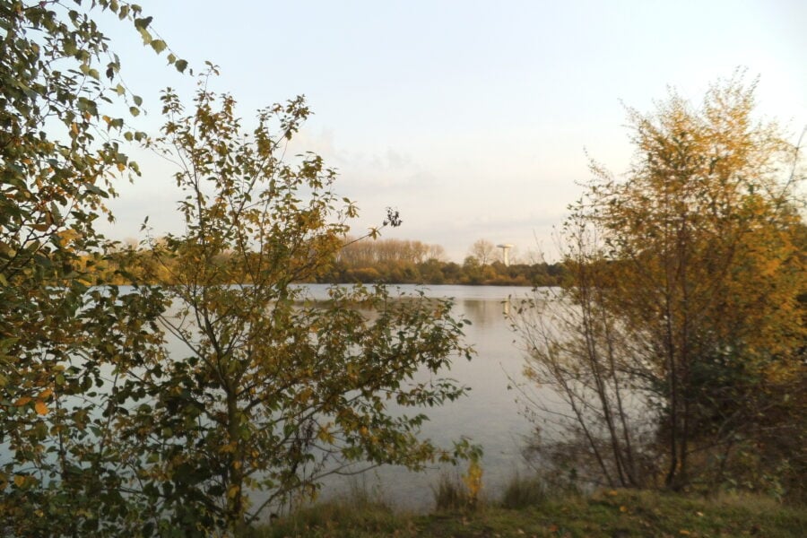 2025 10 18 Spildoornvijver Walem