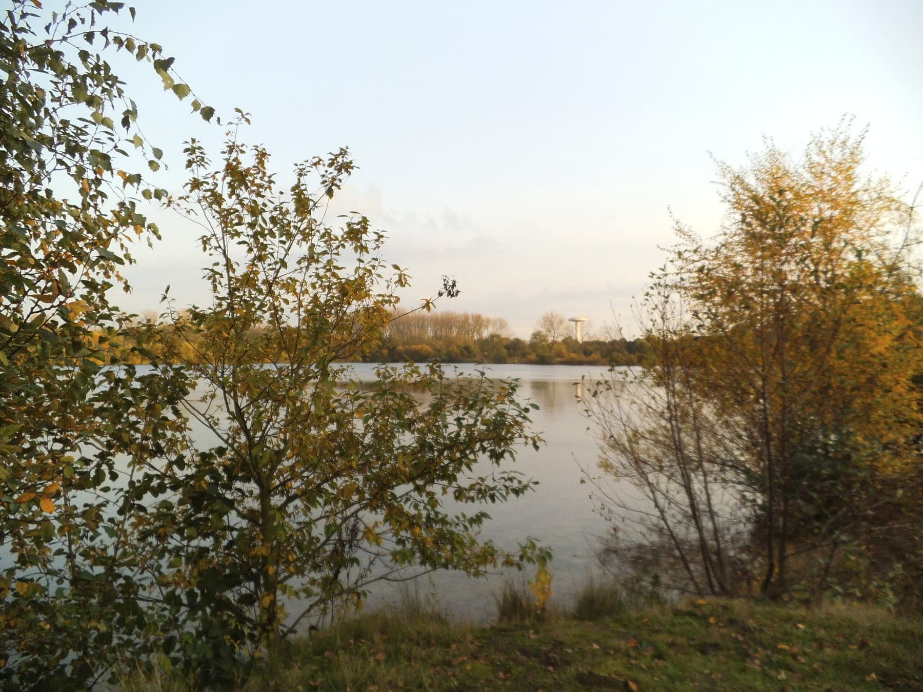 2025 10 18 Spildoornvijver Walem