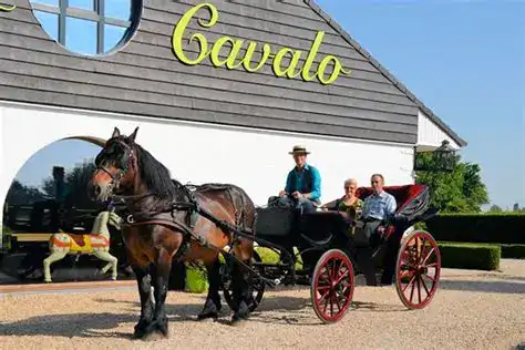 Albergo Cavalo