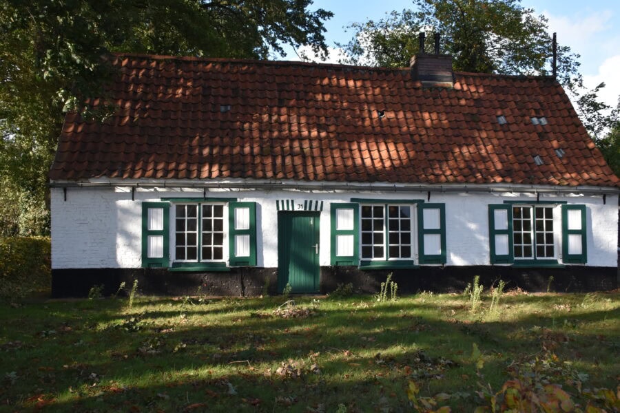 Dsc 5409