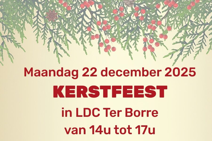 Kerstfeest Ws