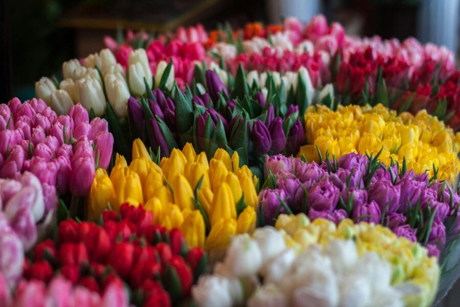 Kleuren