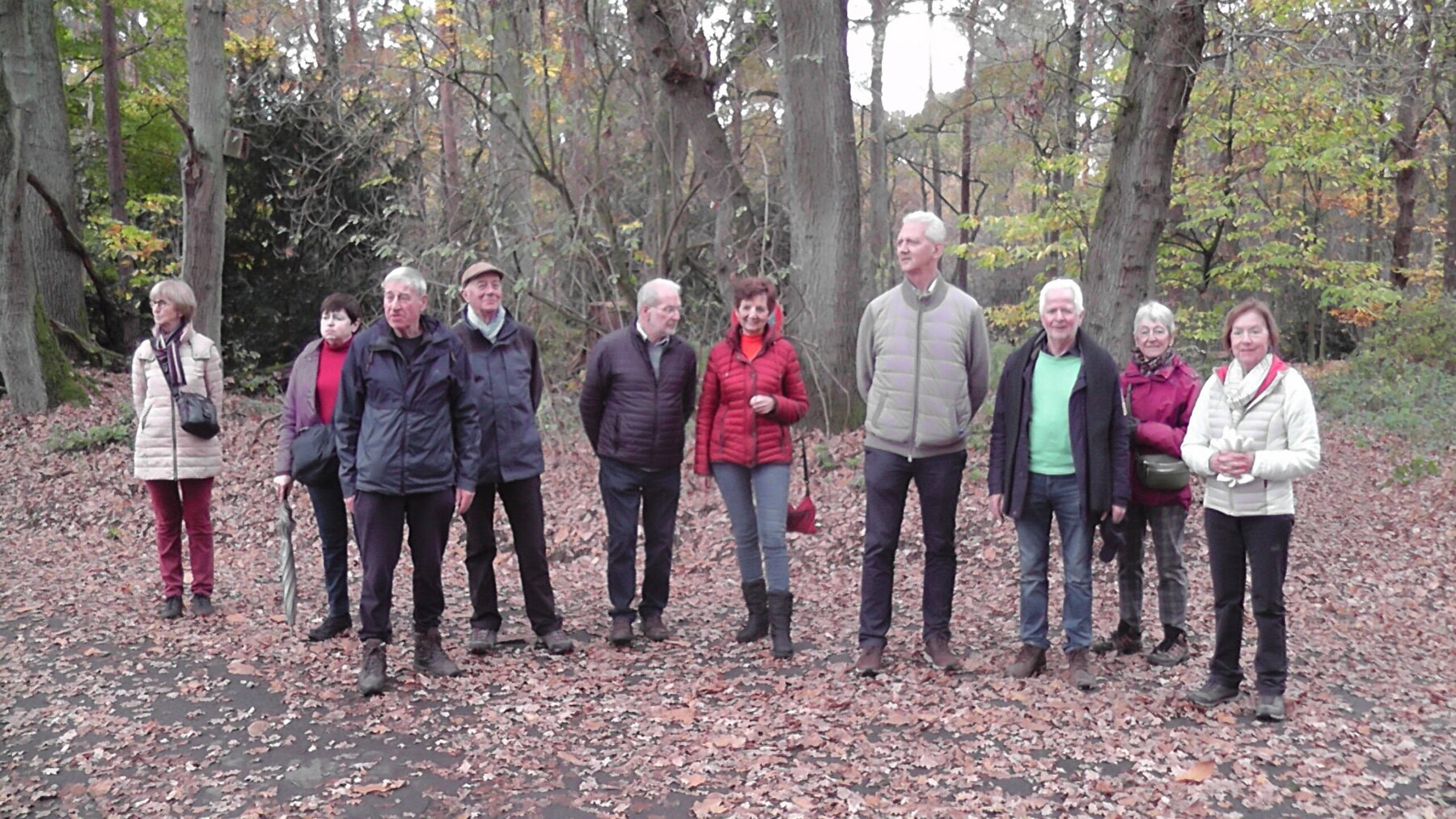 2025 11 11 Bokrijk (18)