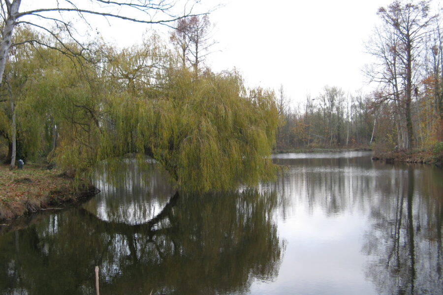 Wandeling Januari