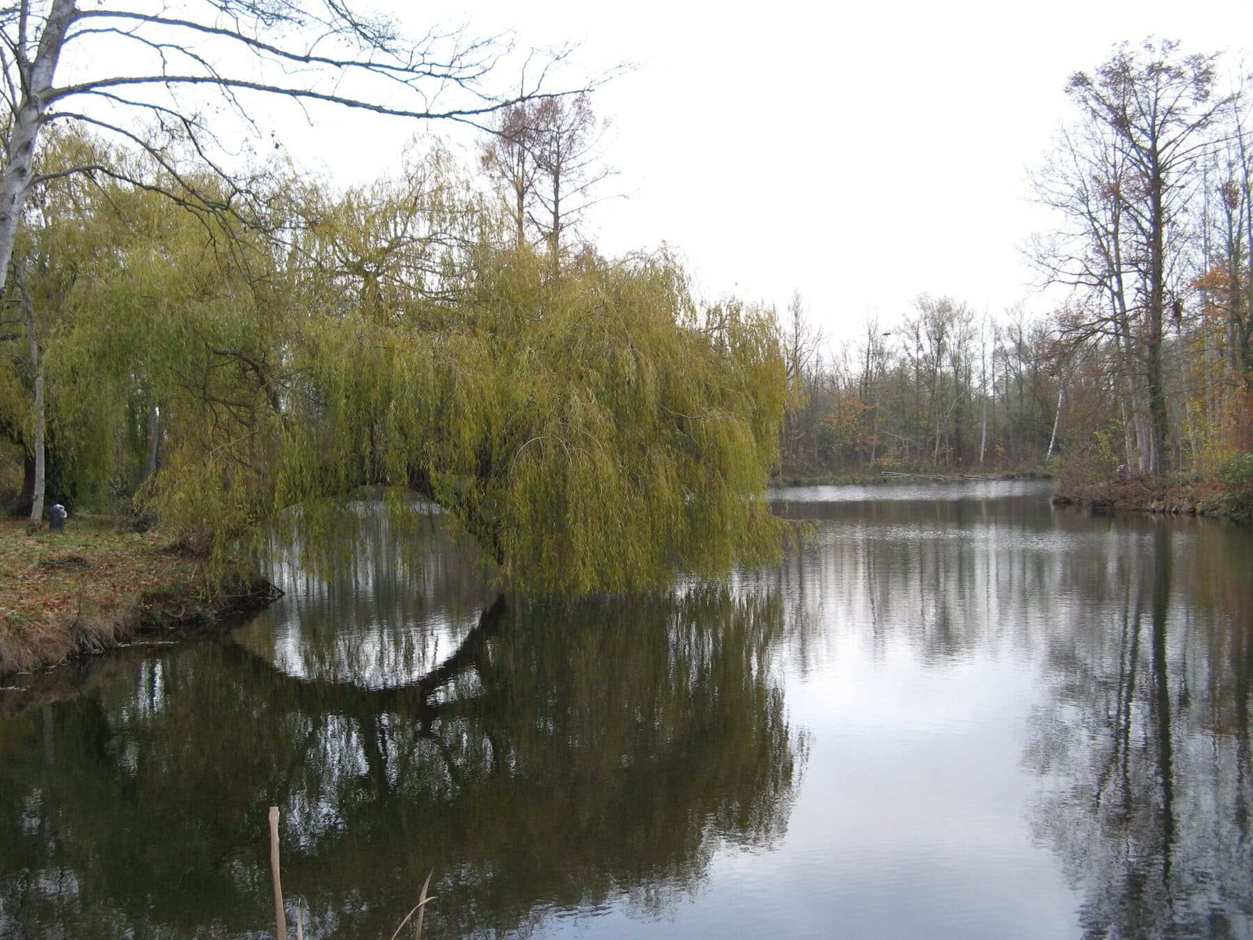 Wandeling Januari