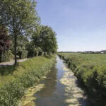 image6 Image6