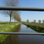image7 Image7