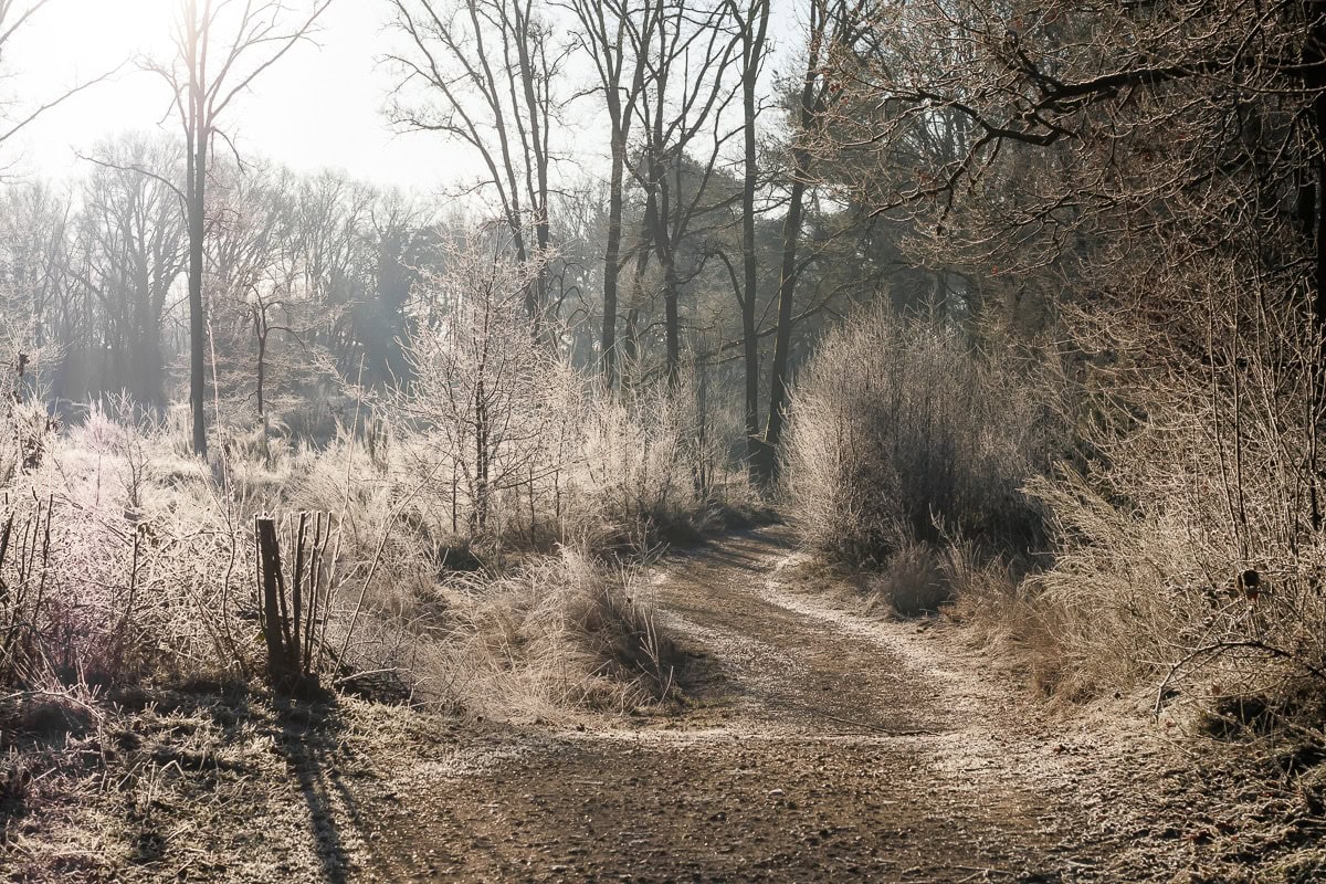 Winterbeeld