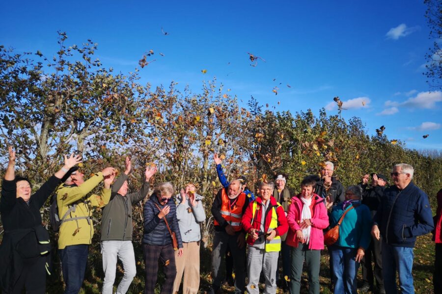 Wandelen November