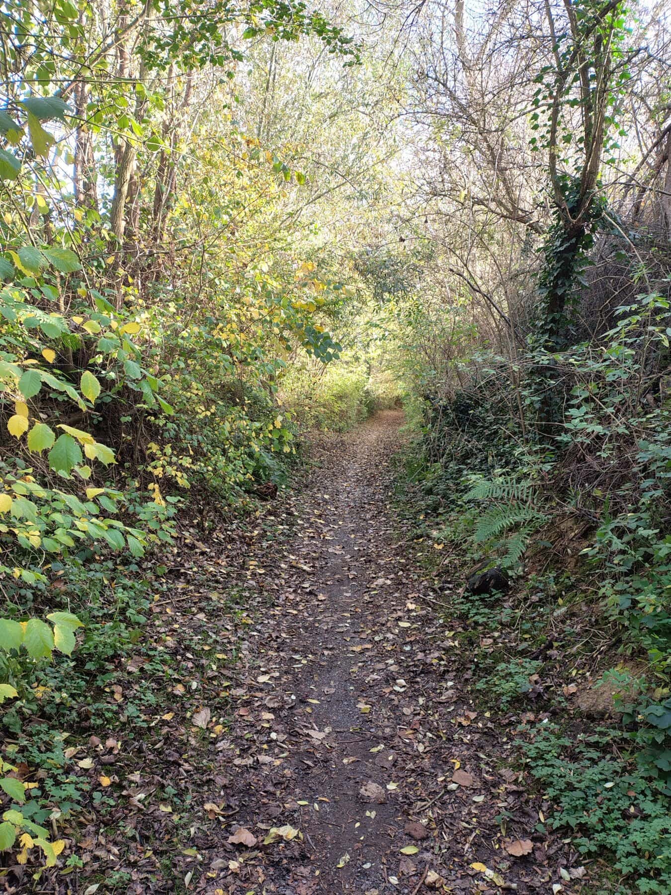 Wandeling Hoegaarden