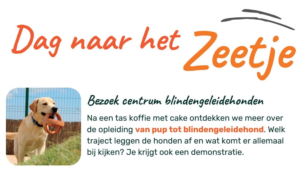 Dag naar 't zeetje