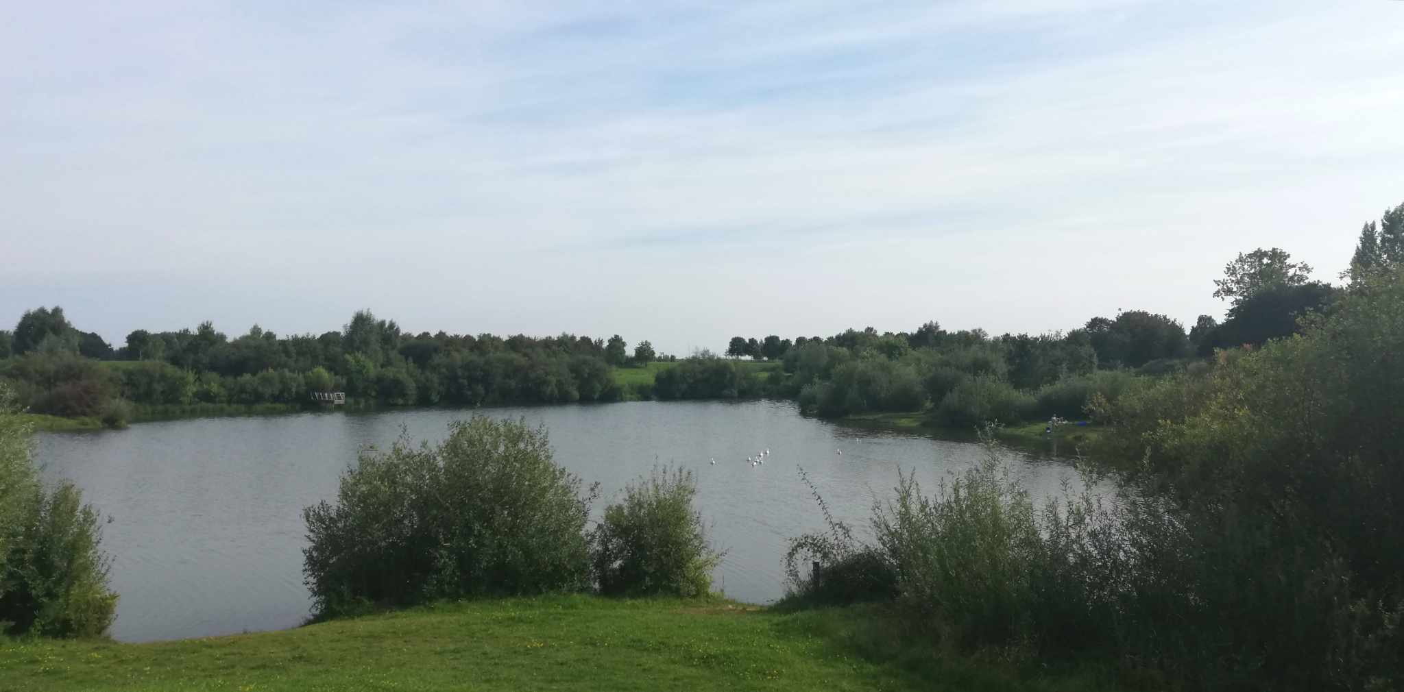 De Maas