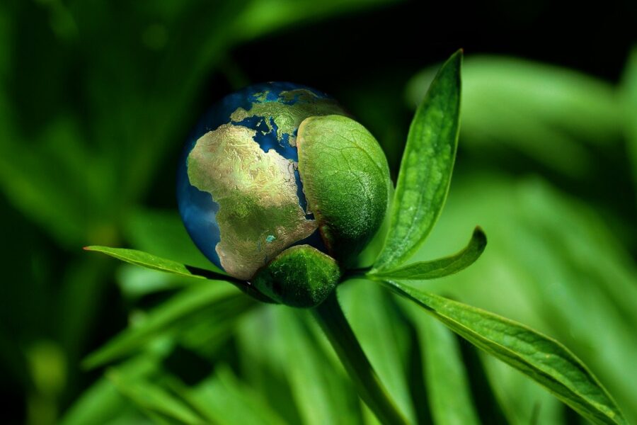 Ecology 6513805 1280
