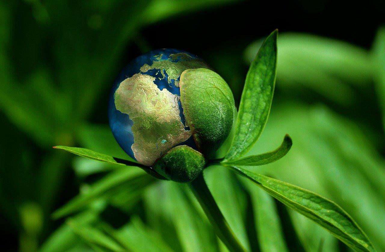 Ecology 6513805 1280