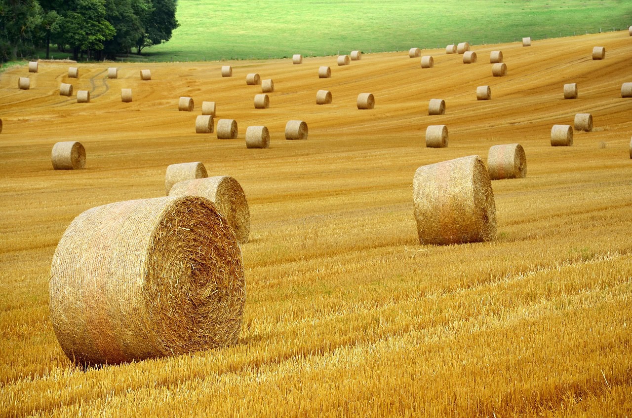 Hay Bales 7387995 1280