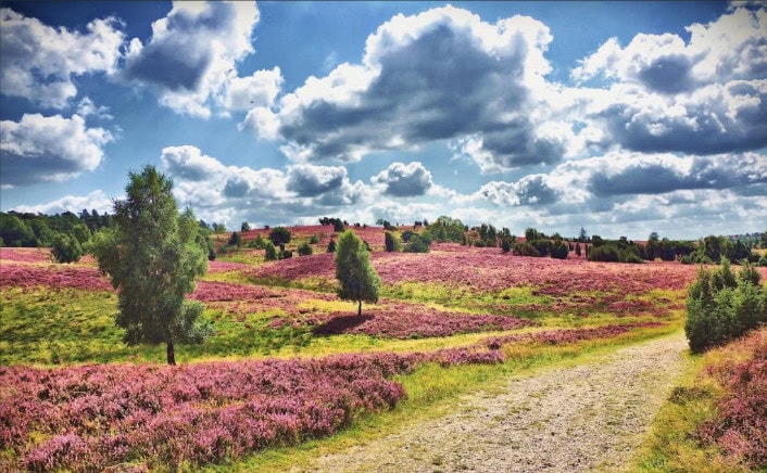 Stille Kempen
