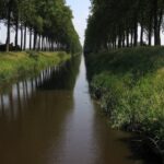 Afbeelding 8