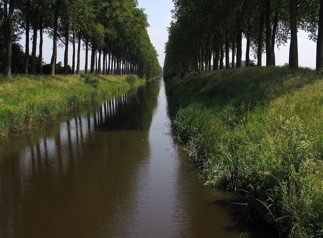 Afbeelding 8