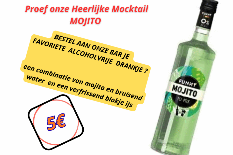 Proef Onze Heerlijke Mocktail Mojito